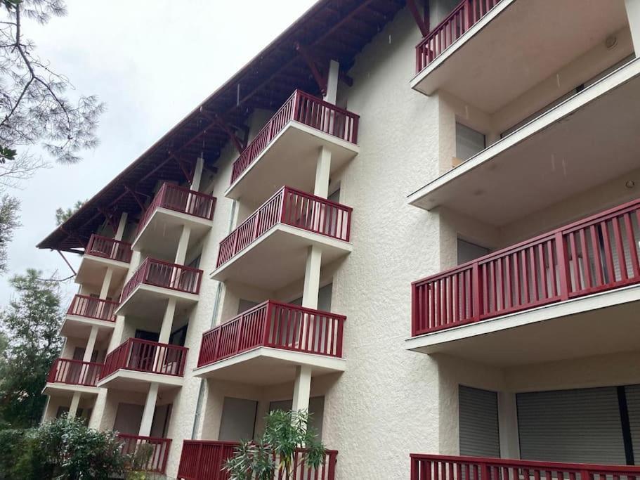Appartement Calme Et Familial Au Centre D'Hossegor Soorts-Hossegor Eksteriør billede