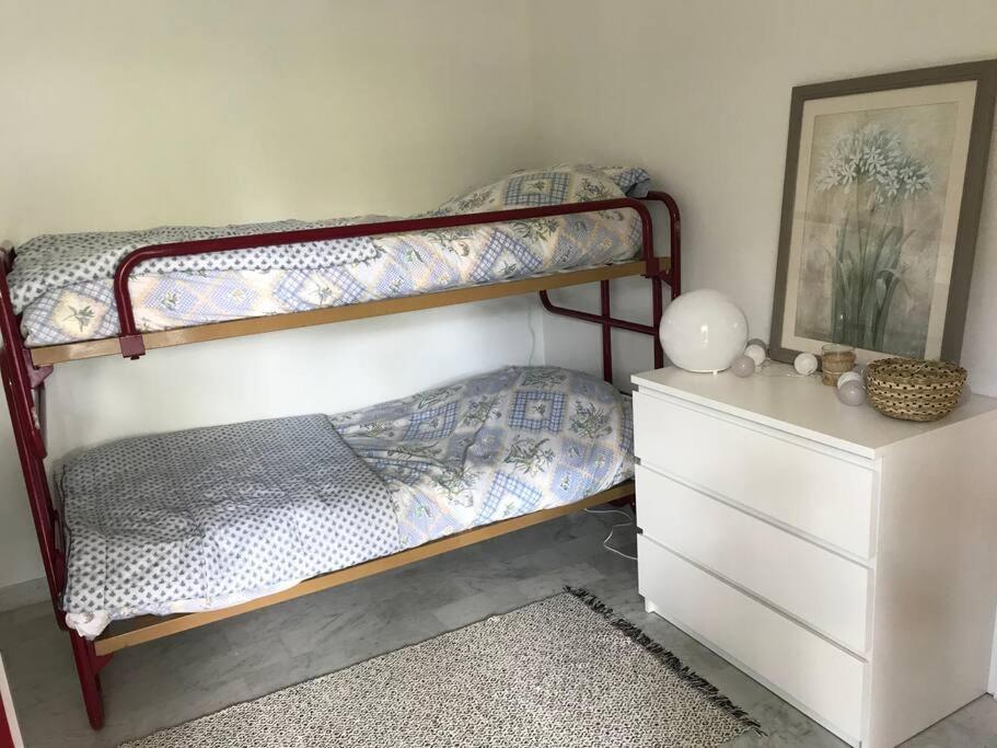 Appartement Calme Et Familial Au Centre D'Hossegor Soorts-Hossegor Eksteriør billede